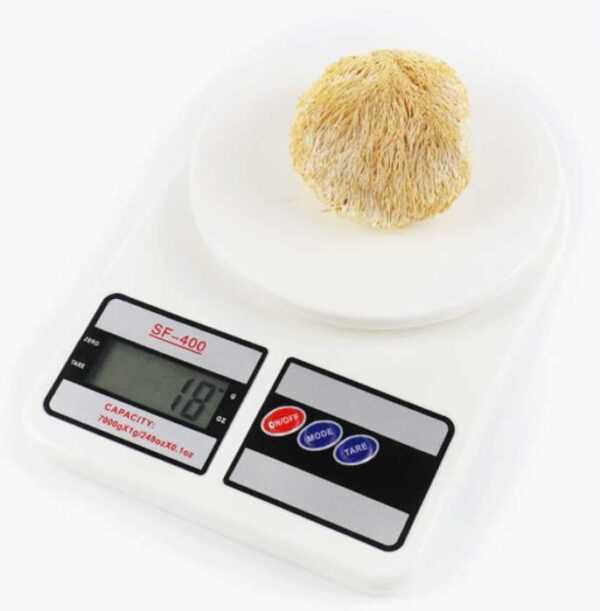 Kitchen scales