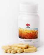 Cordyceps military microdosing