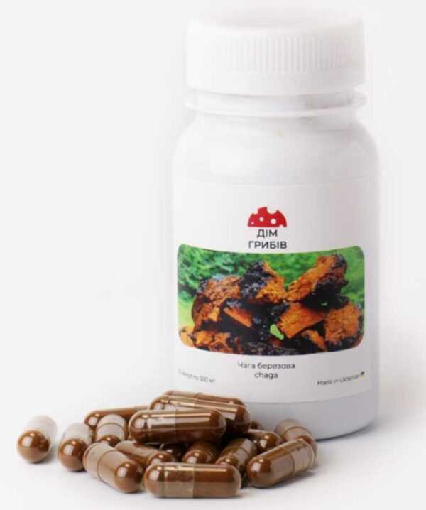 Чага березовая (Chaga) 100 грамм