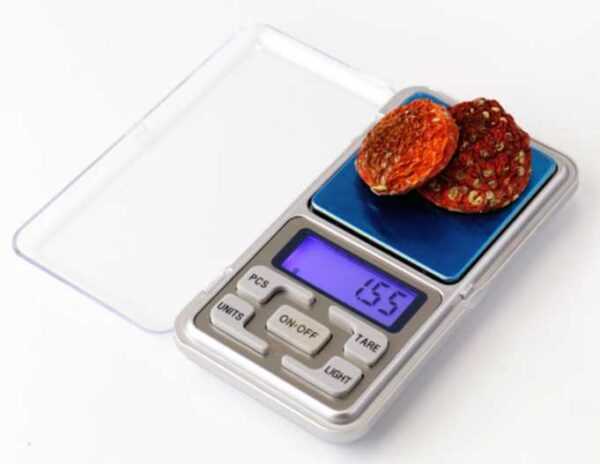 Jewelry pocket scales