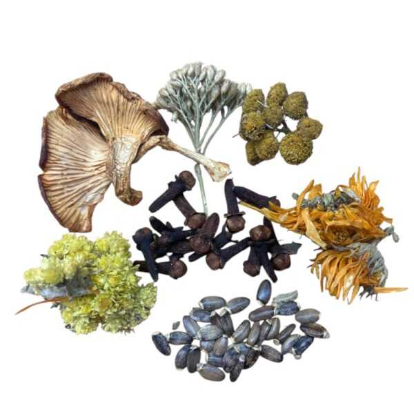 Тройчатка комплекс сбор трав и гибов