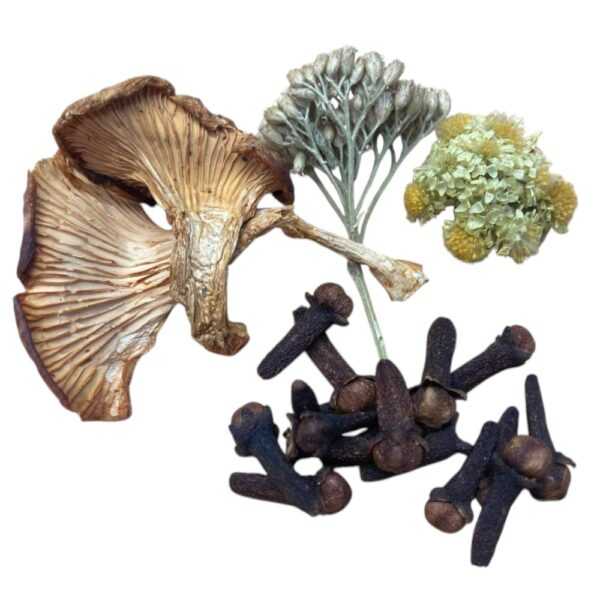 Тройчатка мелена від гельмітів та паразитів Тройчатка мелена від гельмітів та паразитів